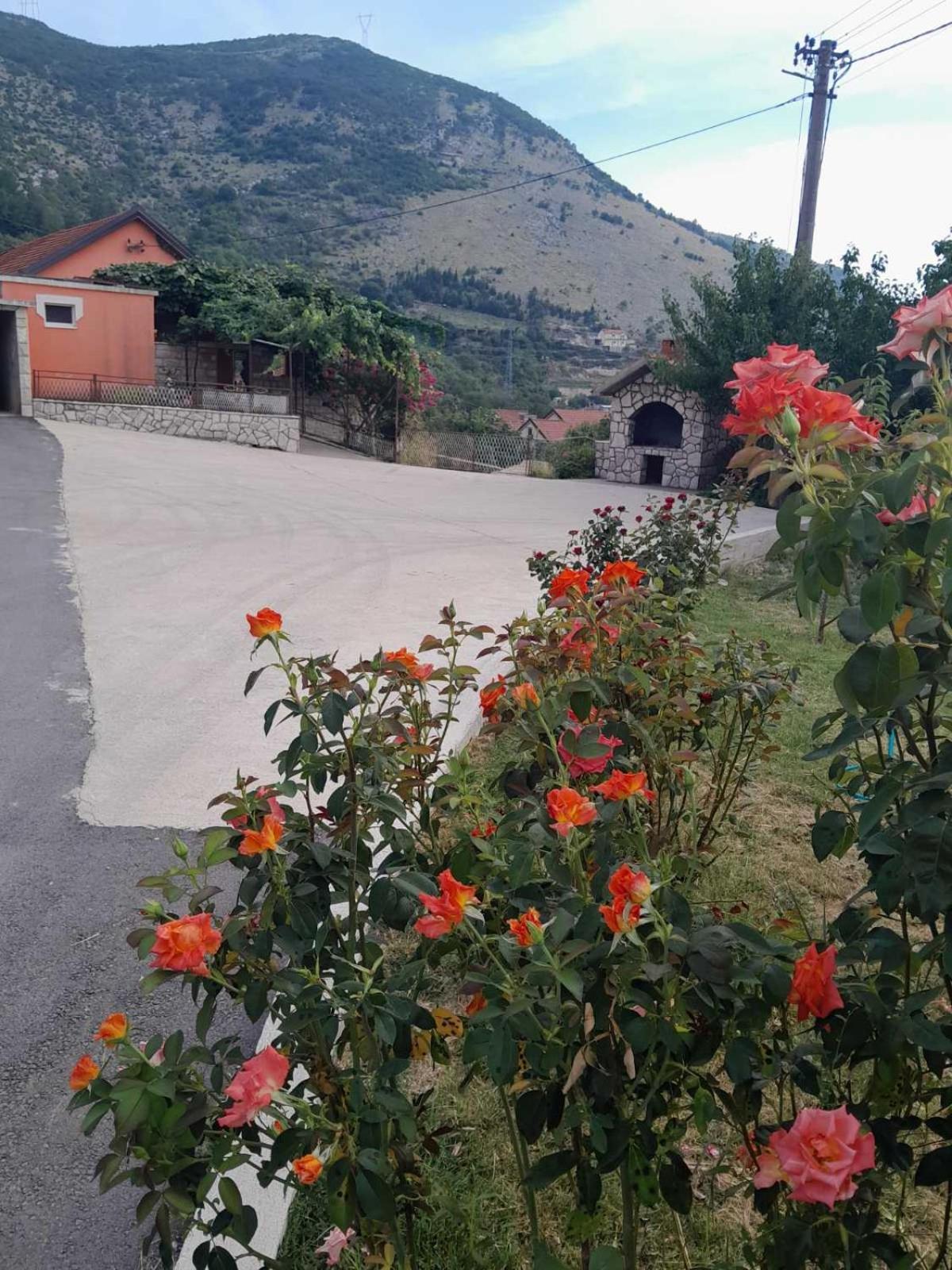 Apartman Vlacic Trebinje Extérieur photo